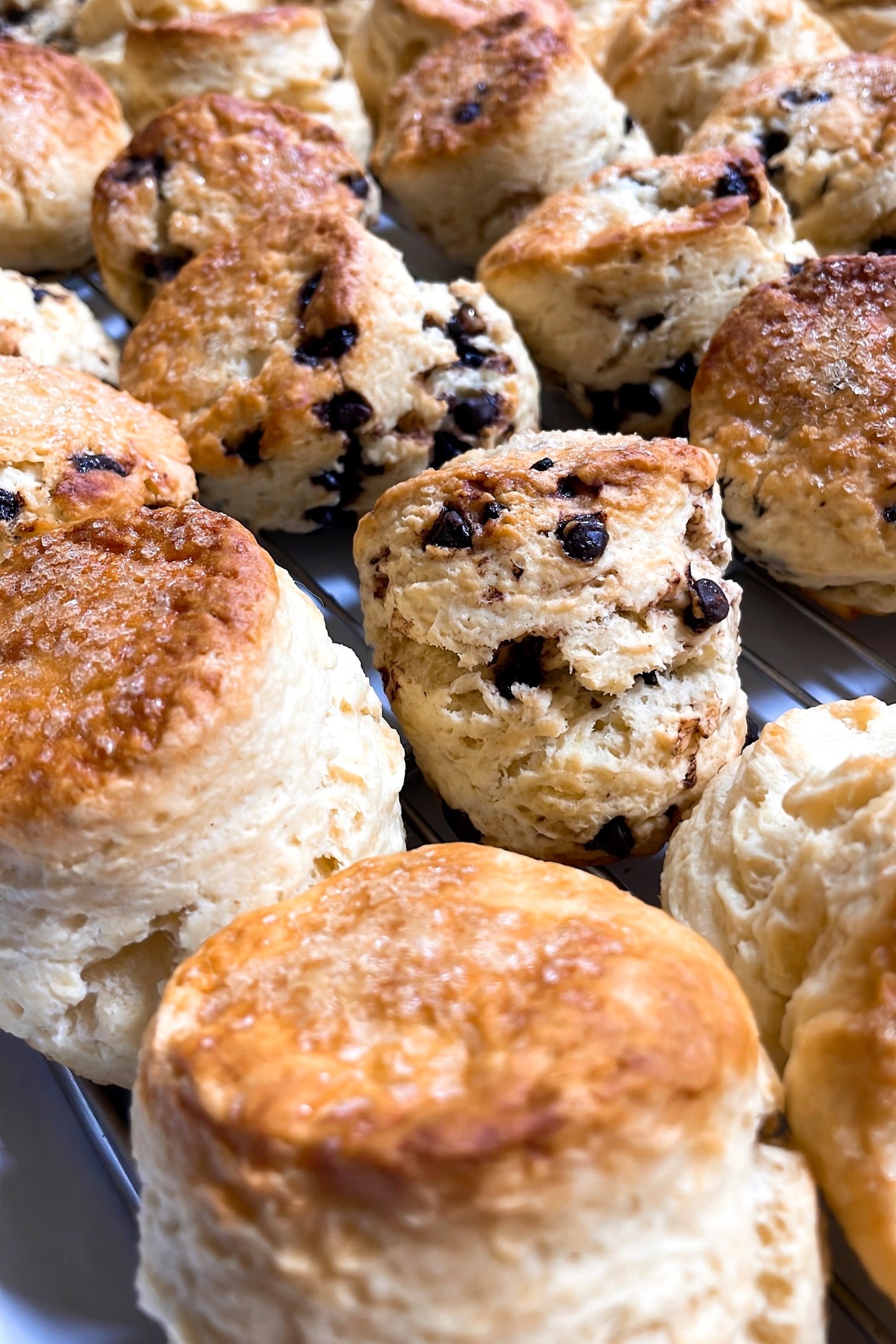 英式司康 SCONE